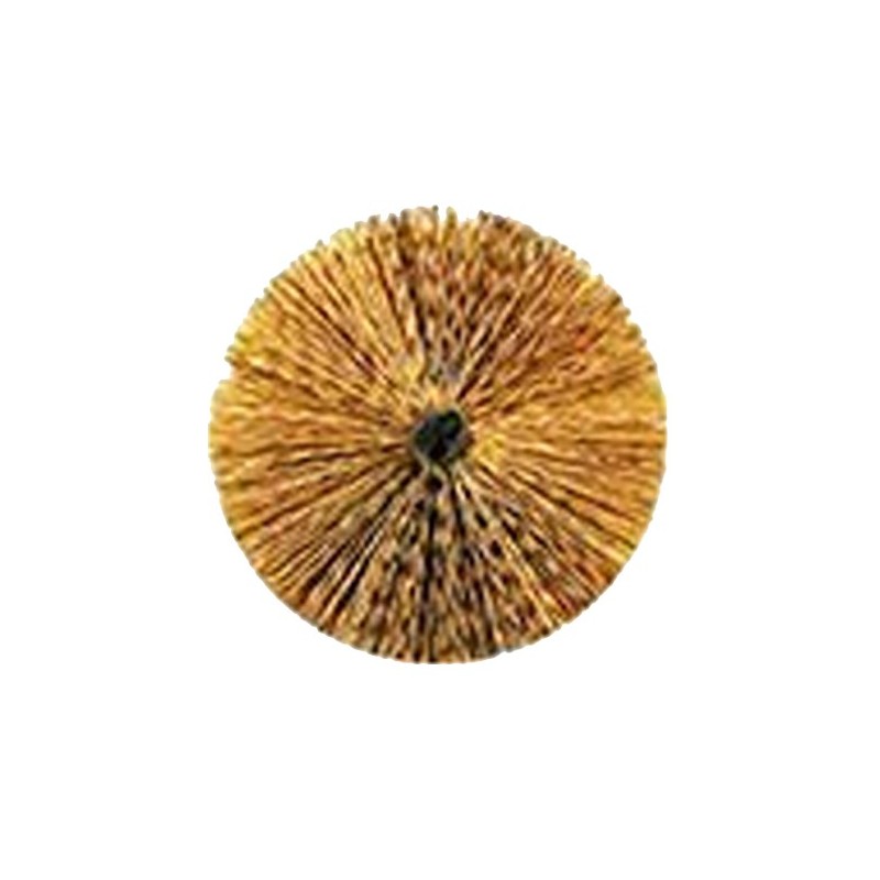 Tuitenrager messing - Tuitenwisser diverse diameters Uw keuze:
