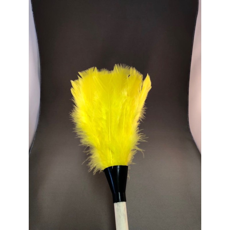 PLUMEAU gekleurde kippeveren (20198419)